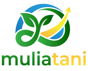 Mitra 4