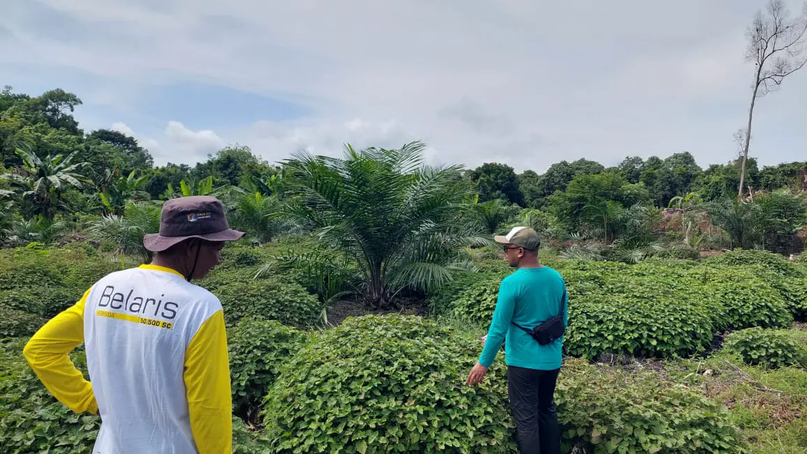 Pilar Bisnis PT Barajaya 2